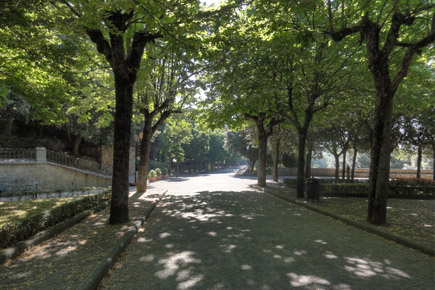 Giardine del Parterre - Cortona