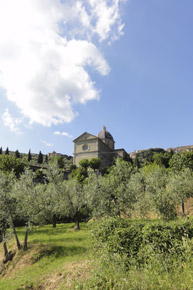 Pane e Vino, restaurant and B&B in Cortona