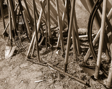 Wine & oil production in Tuscany
